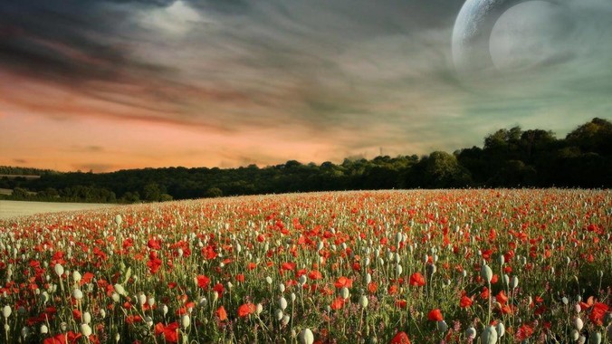 双组份标线涂料的优点和使用注意事项